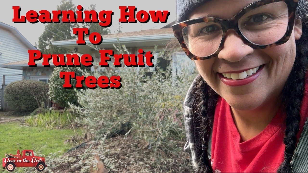 Watch Me TRY to Prune Apples, Figs, Peaches, Plums & Olives