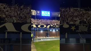 Torcida Do Na Estádio Do Avaí