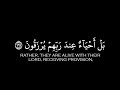 كروما قرانية ولا تحسبن الذين قتلو في سبيل الله امواتا الشيخ محمد صديق المنشاوي رحمه الله 