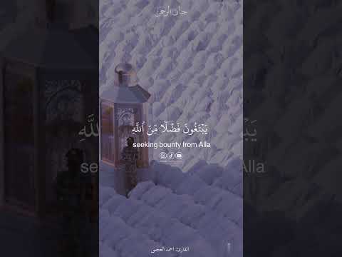 تراهم ر كـعا سجدا يبتغون فضلا من الله حالات واتس اب دينيه Explore القارئ احمد العجمي 