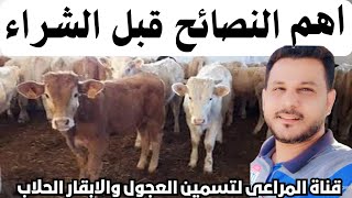 خليك معلم واشتغل صح / انواع ومواصفات عجول التسمين Types and specifications of fattening calves