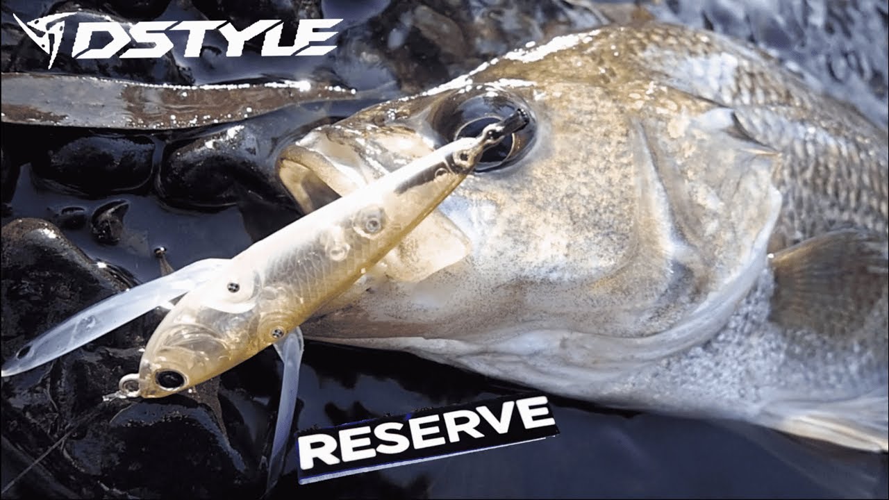 DSTYLE RESERVE  Topwater Bass. 
