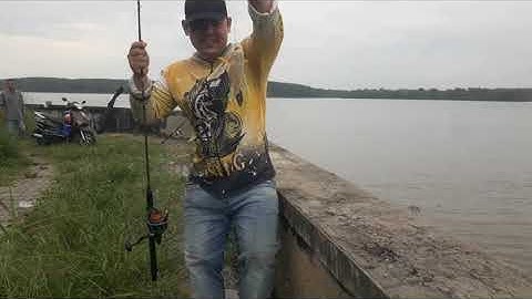 Mai mắn câu dính cá chìa vôi hiếm, ae dính tôm càng to #câu cá cần giờ