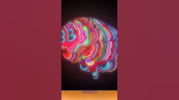 Can We Upload Our Brains and Live Forever?