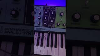 Did you Know This Attenuator Trick? #mooggrandmother