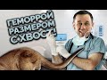 ЗВОНАРЬ ПОЖАЛОВАЛСЯ НА СВОЮ &quot;ПРОБЛЕМКУ&quot;! | Как не платить кредит | Кузнецов | Аллиам