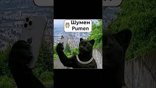 ШУМЕНСКАТА ПАНТЕРА