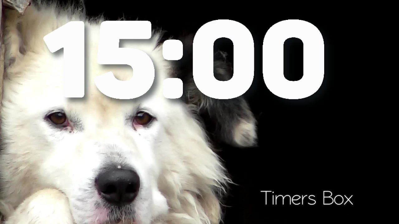 Focus with Fun 15 Minute Dog Timer for Homework School No Music