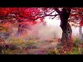Ryuichi Sakamoto - Mizu No Naka No Bagatelle 류이치 사카모토 -1HOUR