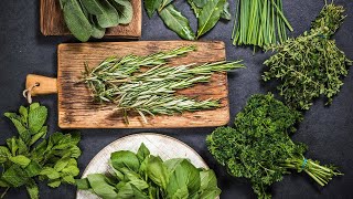 Watch Rachael Demonstrate How To Chop ANY Herb