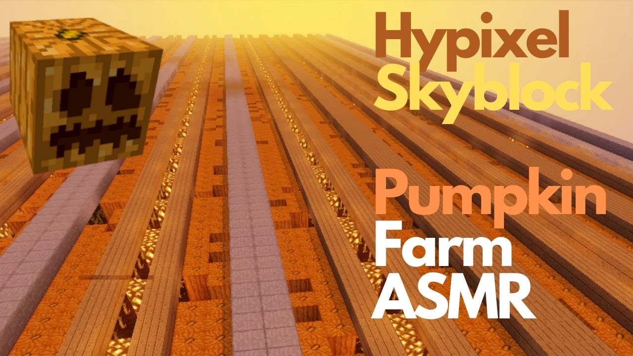 Hypixel Skyblock Pumpkin Farm ASMR