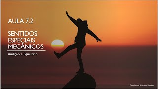 Videoaula 7.2 Sentidos mecânicos