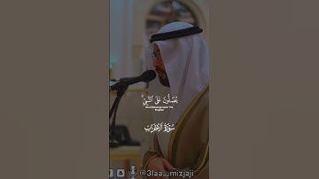 إن الله وملائكته يصلون على النبي | تلاوة مرئية | سورة الأحزاب | الشيخ علاء المزجاجي