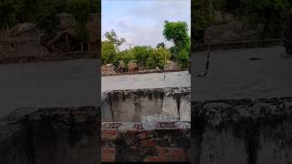 Fhool Mangu Na Bahar Mangu