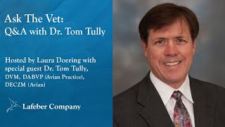 Ask The Vet, Episode 44: Q&A with Tom Tully, DVM, DABVP (Avian Practice), DECZM (Avian)