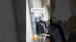 Rainwater Harvesting Filter