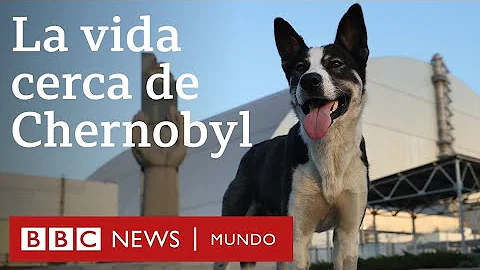 Como Chernobyl está nos dias de hoje?