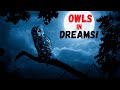 What Owls Mean in Dreams/Biblical Dream Interpretation!