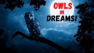 What Owls Mean in Dreams/Biblical Dream Interpretation!