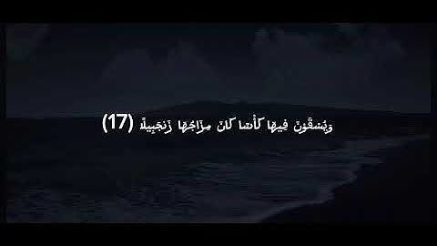 تلاوة تهز القلوب وتقودك للسكينة | بصوت يبكي الحجر وتبث السكينة في الروح استمع بقلبك