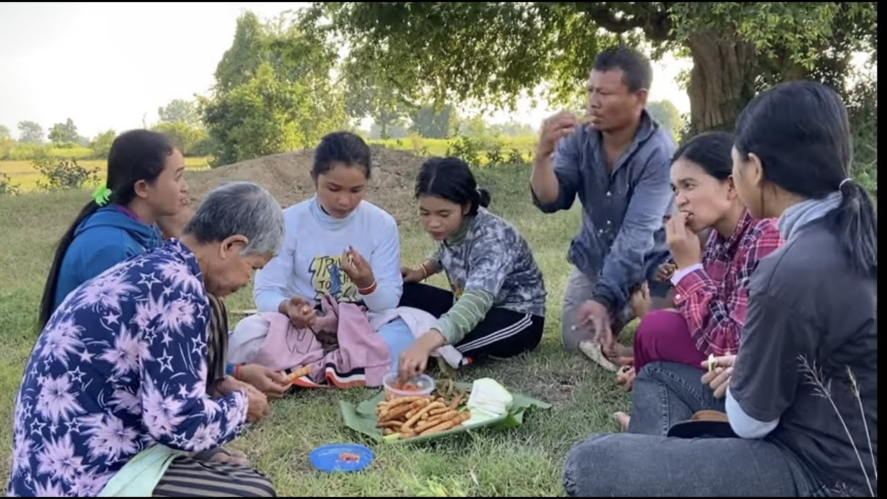 Picking Fresh Tamarind From A Tree And Making Pickles Of Tamarind បេះផ្លែអំពិលមកត្រាំ