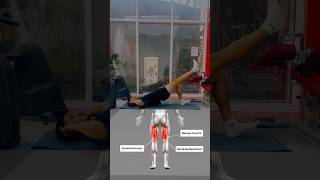 Your Hamstrings Will Love This 👌🏽 #anatomy #workout  #wmwarmup #mobility #muscle #athlete