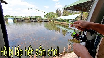 Đem cần TINY TITAN L150 1200K câu cá giải trí hồ thành long lần cuối ✅ Hồ đã lấp | DUY FISHING