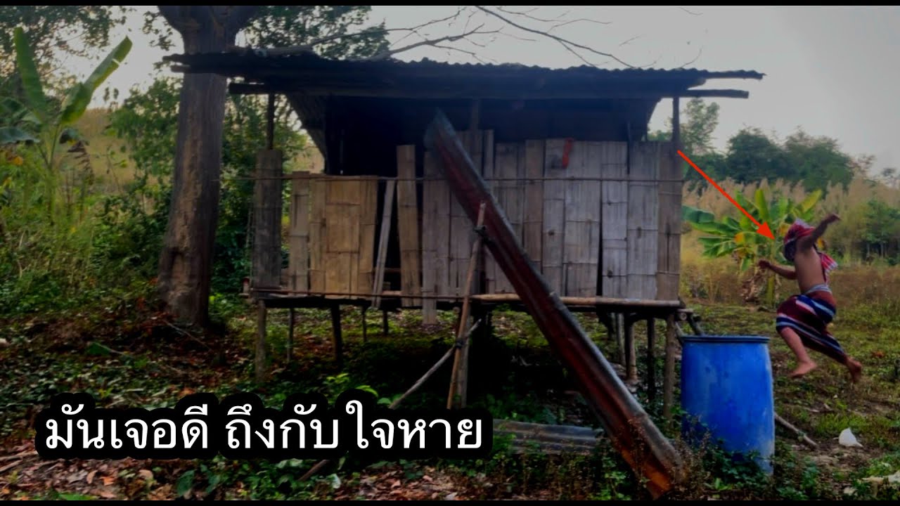 ไอ้เสือเมฆเข้าฝันมันจนร้อนรน ถ้าไม่มาโดนไล่ล่า￼ ข่าวดีมันได้้เจออาจารย์สินและน้องเผือก ￼