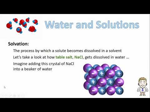 How Substances Dissolve in Water