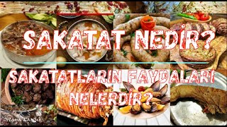 Sakatat Nedir ? Sakatatın Faydaları Nelerdir ? Resimi