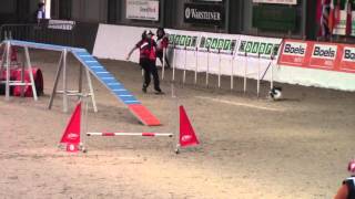 2016 IFCS WAC - Biathlon Agility - Quasi(modo)
