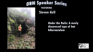 Under the Rails: A newly discovered type of bat hibernaculum- Steven Kell