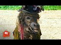 Nanny McPhee (2005) - The Dancing Donkey Scene | Movieclips