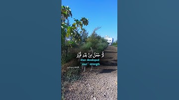 تلاوات القران 🤍..... #قران_كريم #المصحف #الرحمن #قرآن #تلاوة_خاشعة