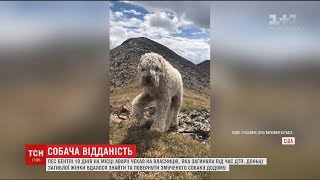 видео Шукаю роботу з власним авто в тернопол