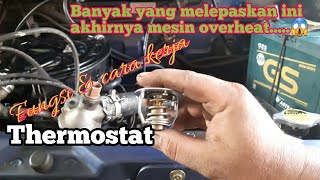 Function and how a car thermostat works