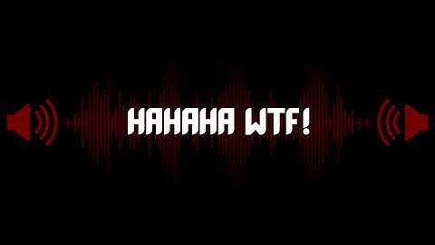 Sound Effect   HaHaHa WTF!