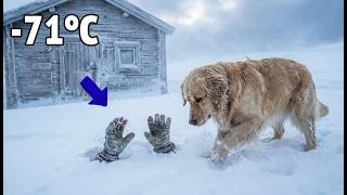 71°C Blizzard  A Clever Dog Rescues an Old Man Trapped Under an Avalanche