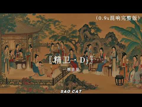 精卫0.9x（关中王纯享）混响完整版『让我在喧嚣的时代，再爱个痛快，伤也伤的精彩，热情飙升原本负载，只剩下伤害』抖音最火 ♫ 氛围感BGM