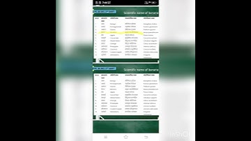 #geography Indian pass @@