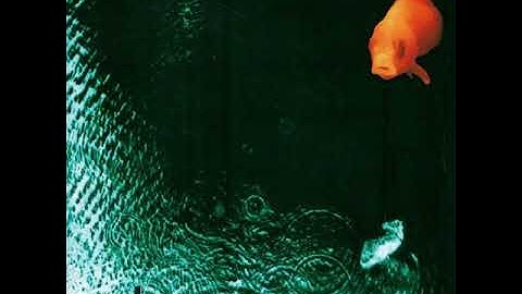 Alcove - Universal Implication (Full Album, 1994, Belgium)