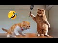 New Funny Animals 2023 😍😄 Funniest Cats and Dogs Videos 🐶😻 #3