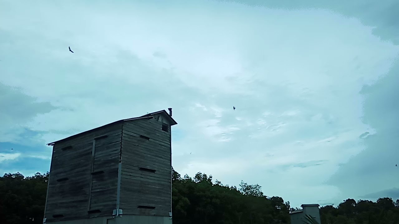 UJI COBA METODE BARU TERNYATA RESPON MANTAP SP TARIK BAYANGAN REVISI