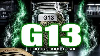 G13: The Strain That Was Stolen From A Secret Government Lab