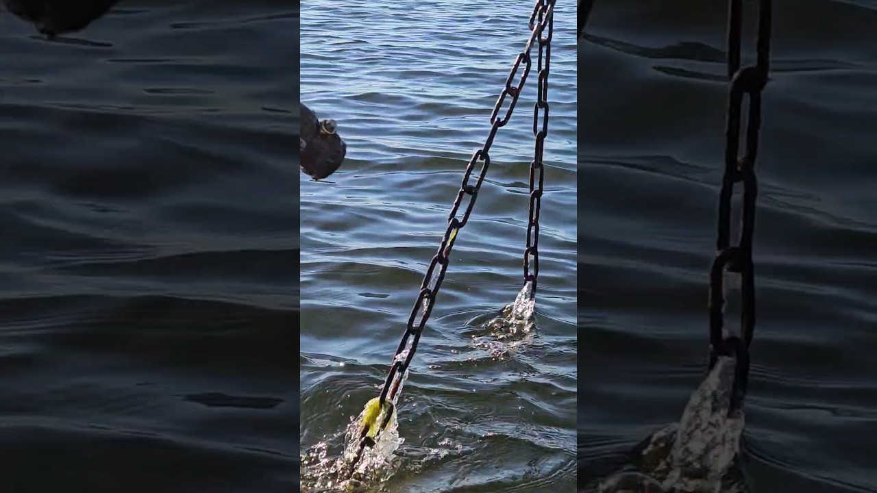 Geocaching in the SEA?! Found Cache 450m Offshore near Seastone 