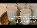 ミントチャイ|ミントとほうじ茶で暑い夏を、爽やかにクールダウン