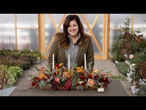 Video: Thanksgiving Flower Arrangements - Growing Thanksgiving Flower Centerpieces