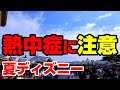 【熱中症対策】夏ディズニーに持っていくと快適な持ち物８選/ディズニーランド＆ディズニーシー【子連れディズニー】