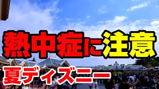 【熱中症対策】夏ディズニーに持っていくと快適な持ち物８選/ディズニーランド＆ディズニーシー【子連れディズニー】