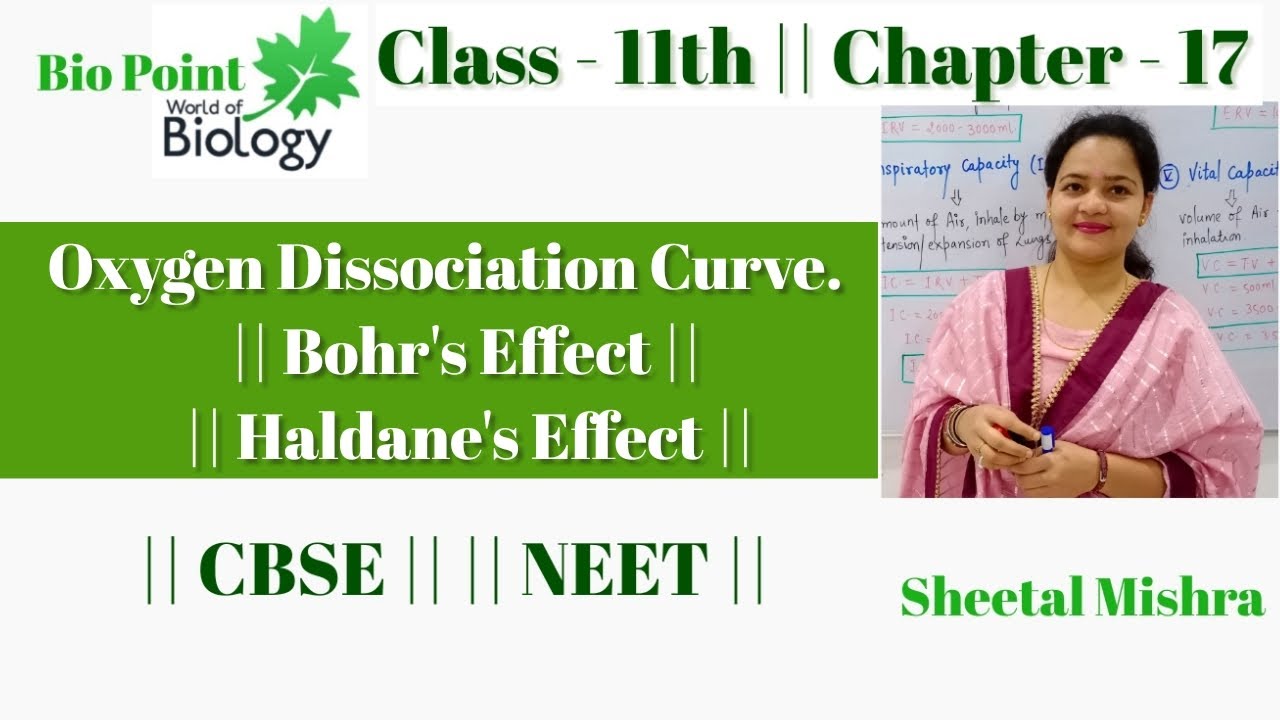 Oxygen dissociation curve |Bohr's effect | Haldane's effect | BioPoint| Ch-17 | Sheetal Mishra